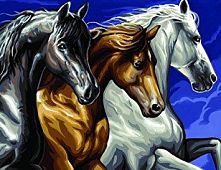 Картинка  Набор для творчества Sequin Art PAINTING BY NUMBERS SENIOR Wild Horses SA1040 магазин cd-market