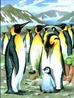Картинка  Набор для творчества Sequin Art PAINTING BY NUMBERS JUNIOR Penguins SA0033 магазин cd-market