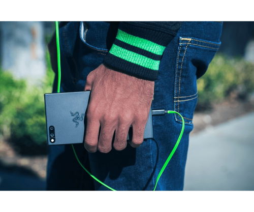 Картинка  Наушники Razer Hammerhead USB-C (RZ04-02420100-R3G1) от магазина cd-market фото 5