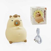 Нічник C 69802 кольорове світло, 3 режими теплого світла, USB Type-C, силіконовий, в коробці