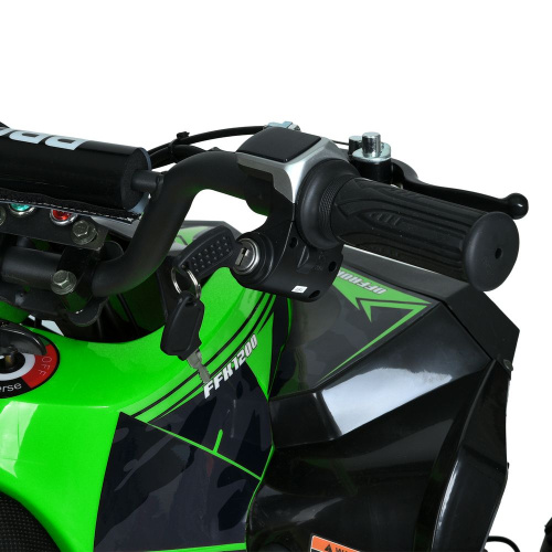 Електроквадроцикл дитячий Bambi Racer HB-EATV1000Q-5ST(MP3) фото 5