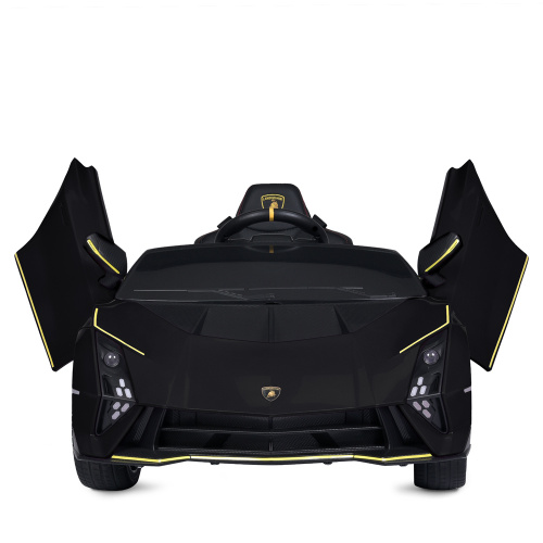 Електромобіль дитячий Bambi Racer M 5100EBLR-2 «Lamborghini» фото 12