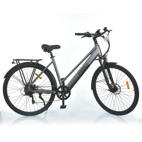 Електровелосипед Profi MEB 700C PULSE-2 (28", сірий)