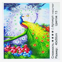 Картина за номерами + Алмазна мозаїка 2в1 YHDGJ 71947 "TK Group", 50х40см, "Павичі", в коробці