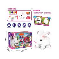 Улюбленець 065-1 A ходить, аксесуари, в коробці