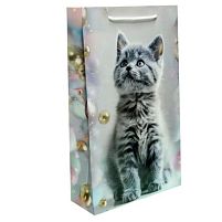 Пакет подарунковий 40*24*9см Stenson БВ-1070КРТ