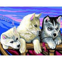 Картинка  Набор для творчества Sequin Art PAINTING BY NUMBERS SENIOR Huskies SA1036 магазин cd-market