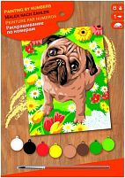 Картинка  Набор для творчества Sequin Art PAINTING BY NUMBERS JUNIOR Pug SA1521 магазин cd-market