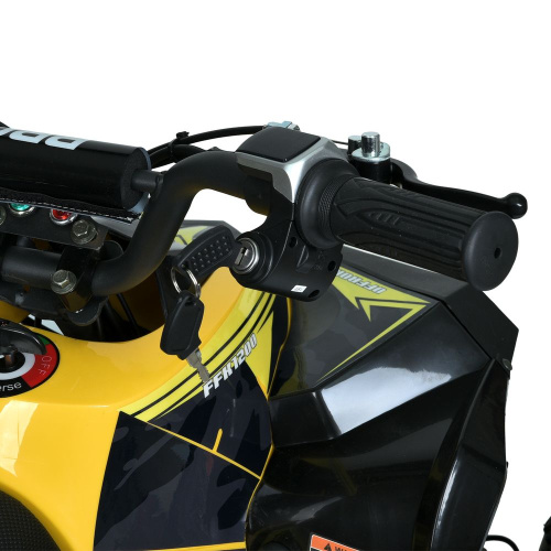 Електроквадроцикл дитячий Bambi Racer HB-EATV1000Q-6ST(MP3) фото 3