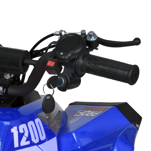 Електроквадроцикл дитячий Bambi Racer E-XBW-1200-4(MP3) фото 7