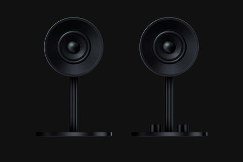 Картинка  Акустическая система Razer Nommo - EU (RZ05-02450100-R3G1) от магазина cd-market фото 2
