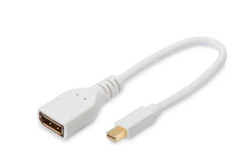 Картинка  Адаптер EDNET MiniDisplayPort to DisplayPort (84508) от магазина cd-market