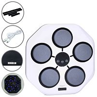 Боксерський набір Profi MS 4235-1-W (5*41*44 см, 9 режимів, 9 швидкостей, 5 цілей, BT, музика, світло, ектронне табло, аккумулятор, Type-C шнур)