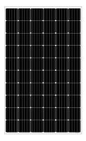 Картинка  Фотоелектрична панель Amerisolar , 5BB, Mono, (PERC) 1000V (AS-6M30-310W) магазин cd-market