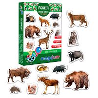 Набір магнітів "Forest. Рhoto" ML4031-29 EN "Magdum", англ. мова, в коробці