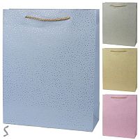 Пакет подарунковий паперовий M "Colorato" 26*32*10см Stenson R34612-M