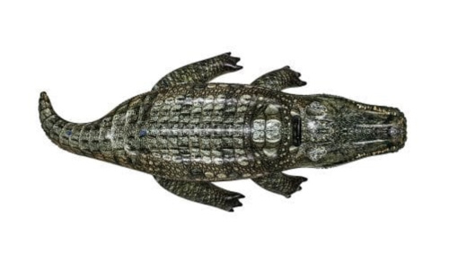 Плотик дитячий надувний для плавання BestWay 41478 «Рептилія» (94*193 см, ручки, вік 3+, до 45 кг) фото 4