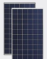 Картинка  Фотоелектрична панель Amerisolar , Poly, 1000V 5BB (AS-6P30-285W) магазин cd-market