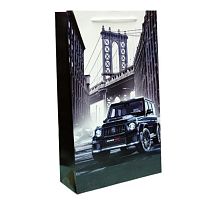 Пакет подарунковий 40*24*9см Stenson БВ-1064КРТ