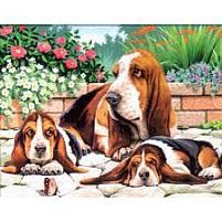 Картинка  Набор для творчества Sequin Art PAINTING BY NUMBERS SENIOR Basset Hounds SA0044 магазин cd-market