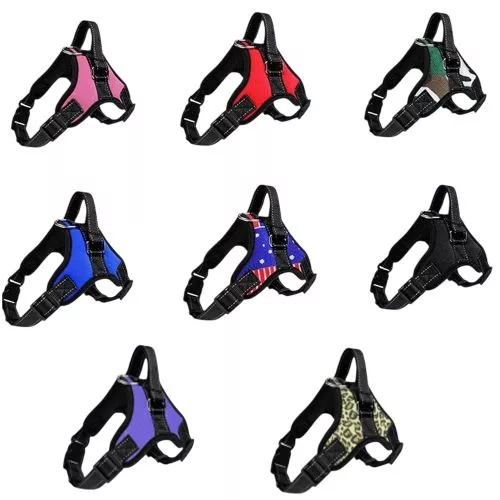 Шлейка для тварин XS 34-44см Stenson A33574-XS